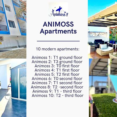 Animos! Apartments - 10 Modern Apartments Near The City & Beach, Perfect For Nomads, Travellers, Families, Watersports! Santa Maria Kültér fotó